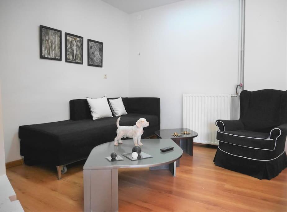 Cosy Apartment In The Heart Of City Centre Heraklion Zewnętrze zdjęcie